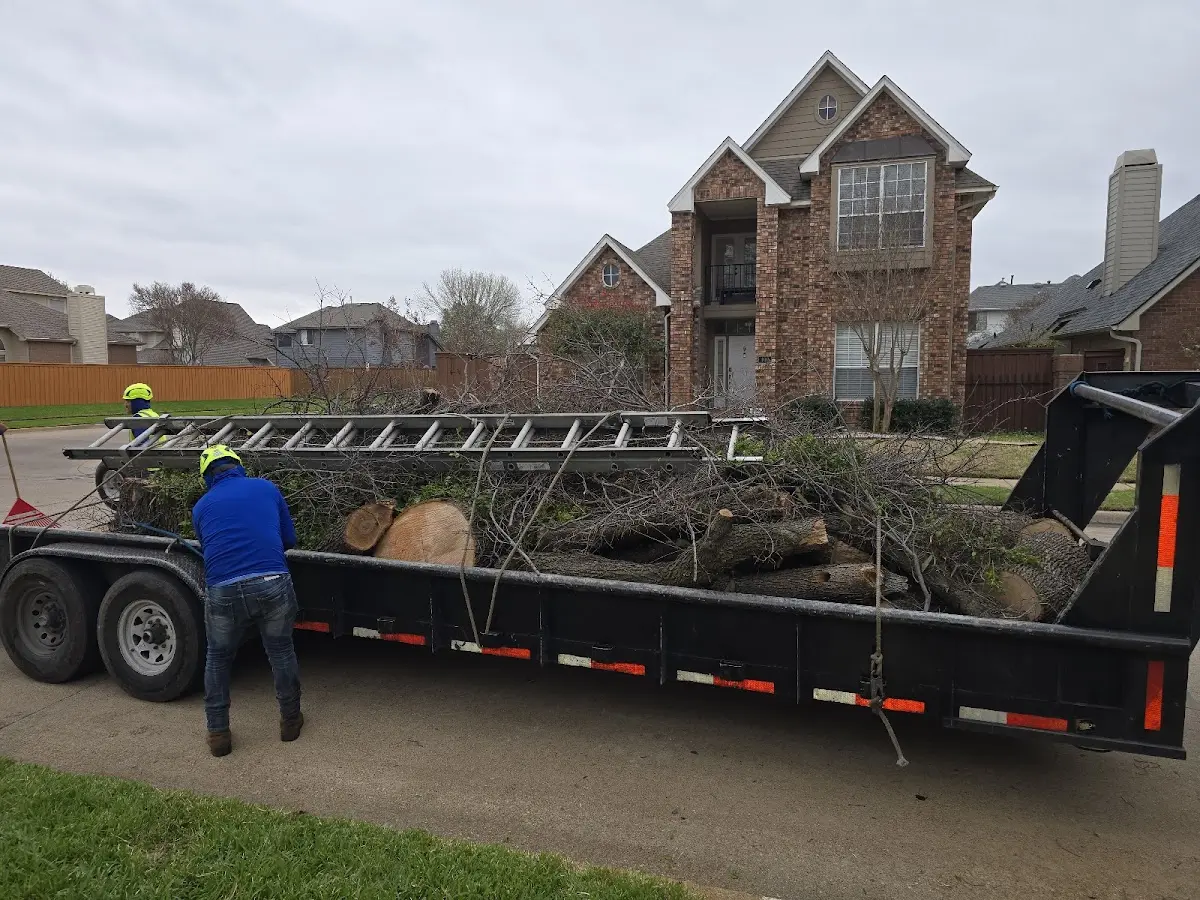 Expert Tree Removal with proper safety equipment in Pilot Mound